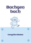 Babi - Bachgen - Tedi / Baby Boy - Teddy 
