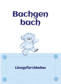 Babi - Bachgen - Tedi / Baby Boy - Teddy 