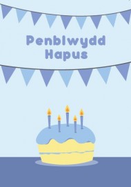 Penblwydd Agored - Cacen Las / Open Birthday - Blue Cake