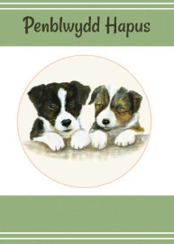 Cwn bach / Puppies