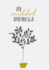 Cydym - Llawrwydd / Symp - Bay Tree