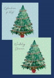 Pecyn Nadolig / Christmas pack (Busnesau - plîs ffoniwch i archebu / Businesses - please phone to order)