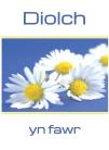 Diolch - Llygaid y Dydd / Thank You - Daisy Chain