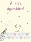 Dyweddiad - Lliwiau Golau / Engagement - Pastel