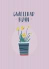 Gwellhad Buan / Get Well - Daffodil