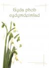 Cydym - Lili Wen Fach / Symp - Snowdrop