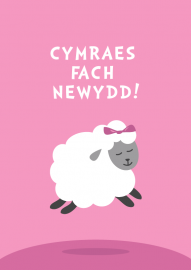 Babi - Merch - Dafad / Baby Girl - Sheep