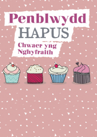 PB Chwaer yng nghyf. 4 Cacen - BD Sister in law 4 Cakes