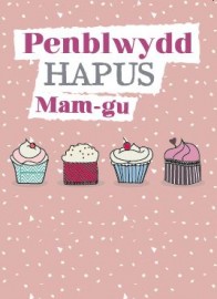 PB Mam-gu 4 Cacen - BD Nan 4 Cakes