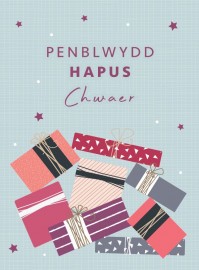 PB Chwaer - Parseli / BD Sister - Parcels