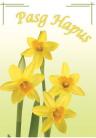 Pasg - 4 Daffodil / Easter - 4 Daffodils