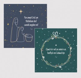Pecyn Nadolig / Christmas pack (Busnesau - plîs ffoniwch i archebu / Businesses - please phone to order) 