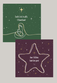 Pecyn Nadolig / Christmas pack (Busnesau - plîs ffoniwch i archebu / Businesses - please phone to order)
