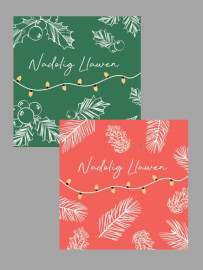 Pecyn Nadolig / Christmas pack (Busnesau - plîs ffoniwch i archebu / Businesses - please phone to order) 