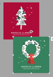 NEWYDD: Pecyn Nadolig / Christmas pack (Busnesau - plîs ffoniwch i archebu / Businesses - please phone to order) 
