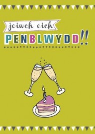 PB Agored - Leim / Open BD - Lime (A) 