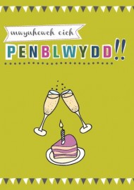 PB Agored - Leim / Open BD - Lime (C)