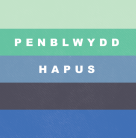Sgwâr - Penblwydd / Birthday