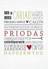 Priodas - Geiriau / Wedding - Words