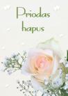Priodas - Rhosyn / Wedding - Rose
