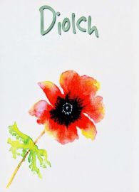 Diolch - Pabi Coch / Thank You - Red Poppy