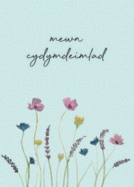 Cydym – Dyfr. 2 / Symp – Water. 2