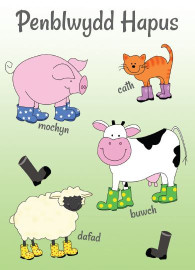 Welingtons / Wellies